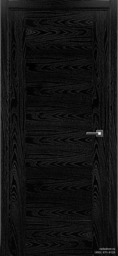 Дверь Рада Polo ДГ-2 (noir)