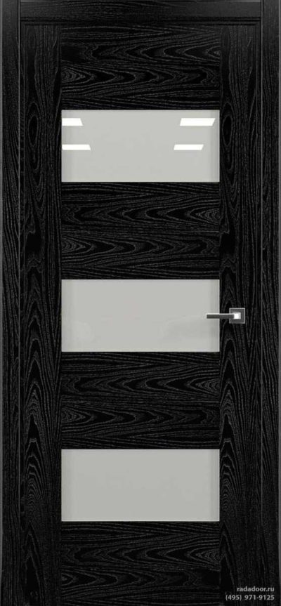 Дверь Рада Polo ДО-1, исп. 1 (noir)
